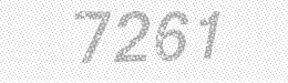 Visual security code — type the characters shown in the image